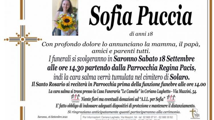 Puccia Sofia